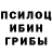 ГЕРОИН хмурый Polongski