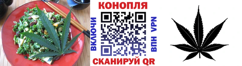 где найти   Углич  Canna-Cookies конопля 