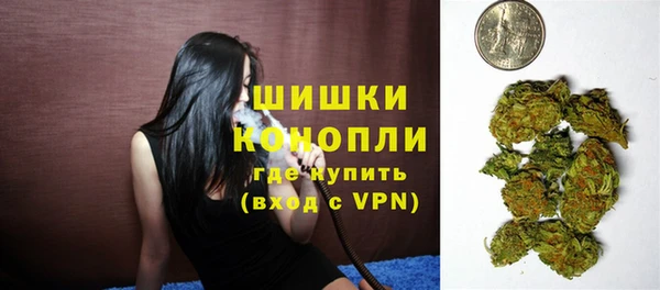 ПСИЛОЦИБИНОВЫЕ ГРИБЫ Слюдянка