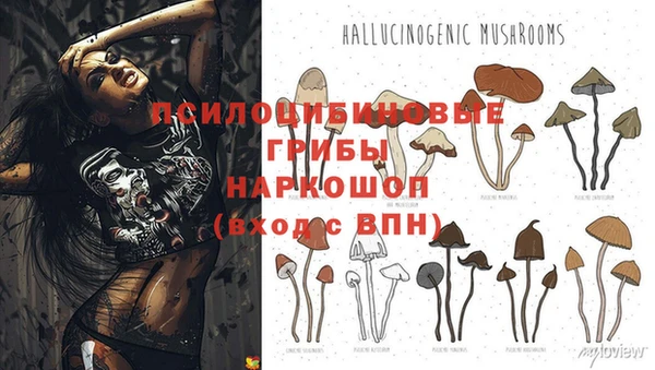 МДПВ Липки