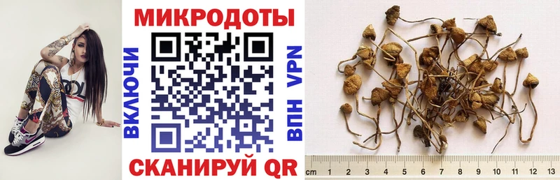 цена   Углич  Псилоцибиновые грибы Magic Shrooms 